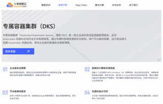 为什么越来越多独立大模型选择九章智算云？