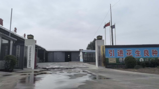 育种筑芯守初心 转化兴种润良田——以良种之力赋能花生产业振兴